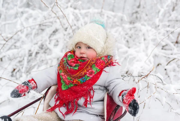 Baby Girl Sit Sled Snowdrift Clear Winter Day Closeup Portrait — Stock Photo, Image