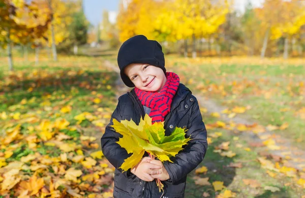 Carino Ragazzo Giacca Berretto Nero Sciarpa Tiene Mazzo Foglie Giallo — Foto Stock