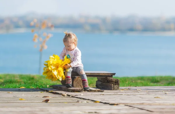 可爱的小女孩坐在木凳上 一束秋天的枫叶在城市公园的一条秋日的背景上 水平肖像 — 图库照片