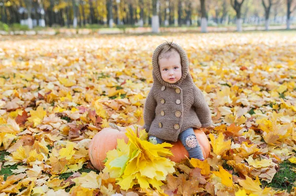 Little Girl Sits Pumpkin Autumn City Park Horizontal Portrait — Stock Photo, Image