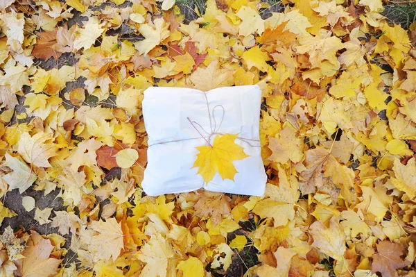Herbst Hintergrund Mit Geschenkbox Und Mit Ahornblatt Über Den Herbstblättern — Stockfoto