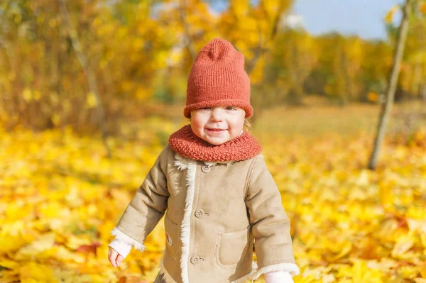 Little Smiling Girl Knitted Cap Fallen Autumn Leaves City Park — Stock Photo, Image