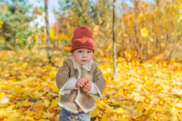 Little Beautiful Girl Warm Clothes Stand Autumn Foliage Forest Horizontal — Stock Photo, Image