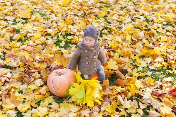 Piccola Bella Ragazza Abiti Caldi Siede Con Zucca Tra Foglie — Foto Stock