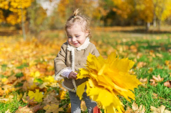 Little Smiling Girl Maple Bouguet City Park Closeup Portrait — Stock Photo, Image