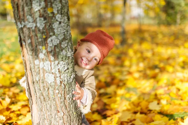 Happy Little Girl Knitted Cap Looking Camera While Hiding Tree — Stock Photo, Image