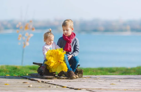 Two Little Children Sits Wood Bench Bouquet Autumn Maple Leaves — Stock Photo, Image