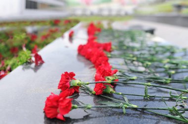 Karanfil anıtın yakınındaki. Kırmızı bir karanfil çiçek gri mermer heykel sabrıyla birkaç karanfil çiçeklerle yalan tarih seçici odak