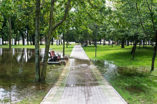 Lavička Zaplavených Trávníku Městském Parku Horizontální Foto — Stock fotografie