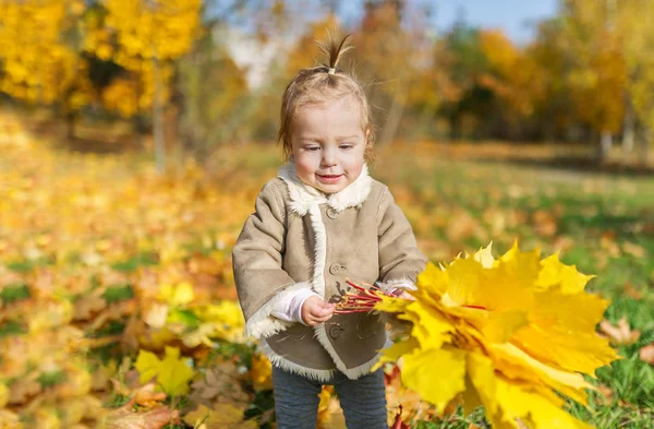 Cute Baby Girl Maple Bouguet Autumn Park Closeup Photo — Stock Photo, Image