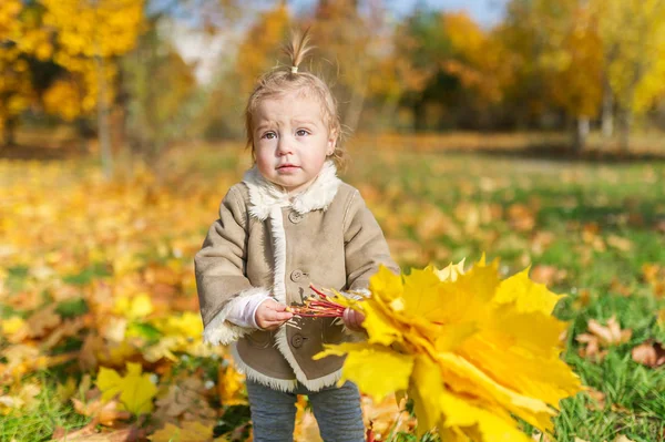 Cute Baby Girl Maple Leaves Autumn Park Closeup Photo — Stock Photo, Image