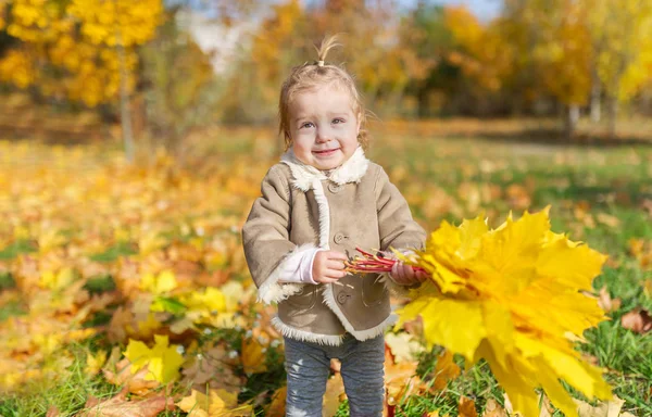 Closeup Portrait Little Smiling Girl Maple Bouguet Autumn Park — Stock Photo, Image