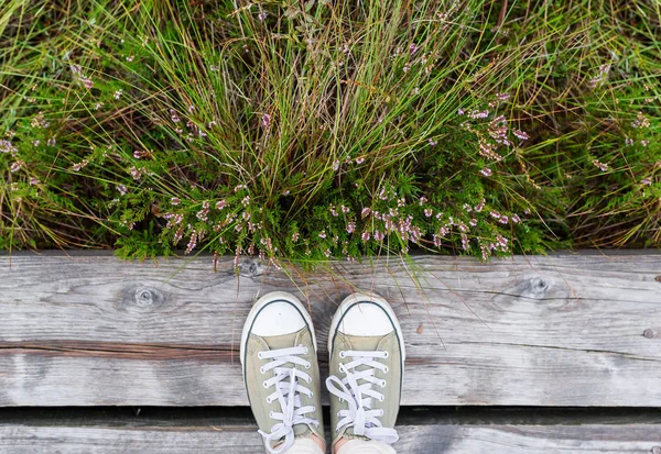 Woman feet in sneakers on the wooden path background with green grass. Nature background. Top view