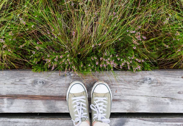 Mujer Pies Zapatillas Deporte Fondo Del Camino Madera Con Hierba — Foto de Stock