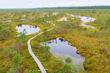 Letonya büyük Bataklığı'nın görünümü. Harika Kemeri bataklık Boardwalk ziyaretçi bataklık keşfetmek için bir şans teklif popüler turistik Kemeri Milli Parkı yer