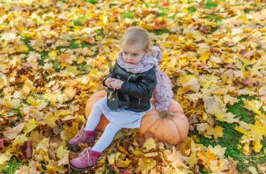 İki kabaklar sonbahar park yatay portre üzerinde oturan küçük kız. Üstten görünüm