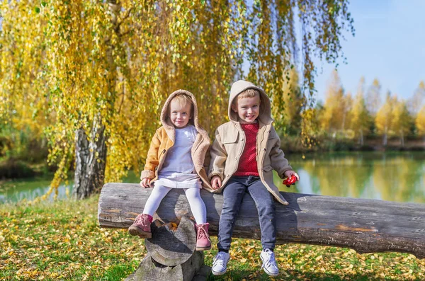 Szczęśliwe Dzieci Siedzą Drewno Dziennika Drewno Jesień Pobliżu Pięknego Jeziora — Zdjęcie stockowe