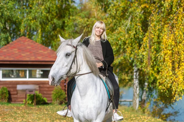 Trevlig Blond Hår Flicka Landsbygden Med Häst Vacker Ryttare Och — Stockfoto