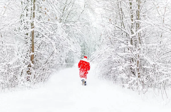 Santa Claus Červený Kostým Chodit Zimě Lese Dálky Winter Park — Stock fotografie