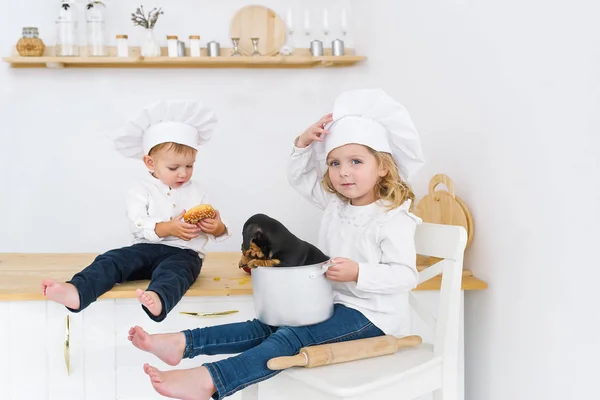 Niños Pequeños Con Sombreros Cocina Jugando Cocina Casera Con Cachorro —  Fotos de Stock