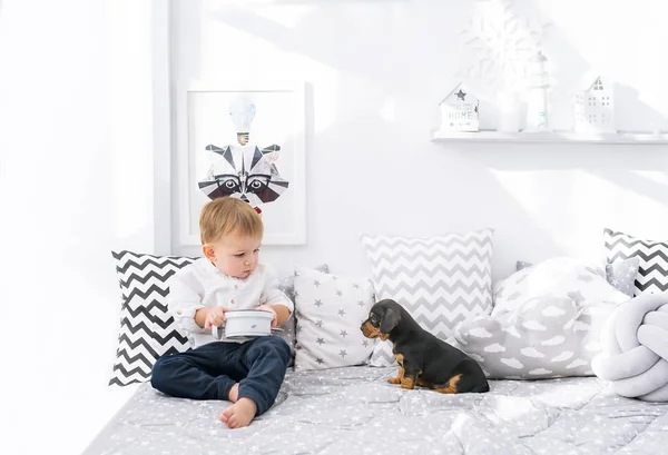 Kleiner Junge Sitzt Auf Dem Bett Und Spielt Mit Dackelwelpe — Stockfoto