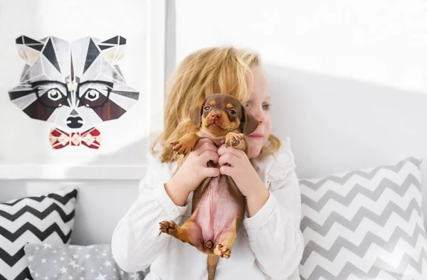 Cachorro Jovem Cão Segurado Nas Mãos Uma Criança Retrato Horizontal — Fotografia de Stock