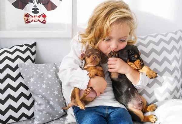 Bela Menina Abraça Dois Cachorrinhos Encantadores Dachshund Conceito Amizade Pessoa — Fotografia de Stock