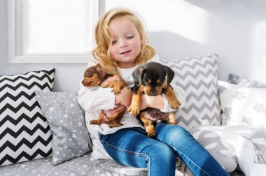 Güzel küçük kız iki küçük sevimli yavru bir dachshund in kucaklar. Yatay dikey
