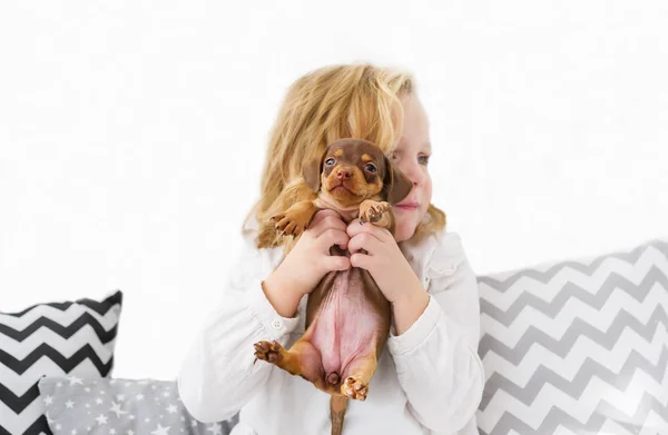 Cachorro Pequeño Sostenido Manos Niño Retrato Horizontal — Foto de Stock