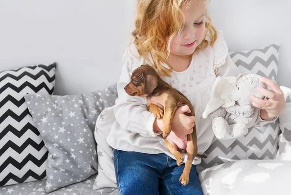 Niedliches Kleines Mädchen Das Mit Kleinem Hund Und Stofftier Spielt — Stockfoto