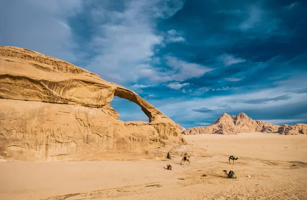Camellos Desierto Vista Panorámica Del Desierto Wadi Rum Jordania — Foto de Stock