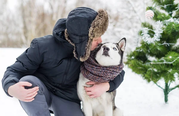 Portrait of caucasian man hugging gorgeous husky dog in winter day. Surprise for a dog