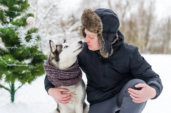 Närbild Stilig Ung Man Omfamnar Söta Husky Hund Varm Halsduk — Stockfoto