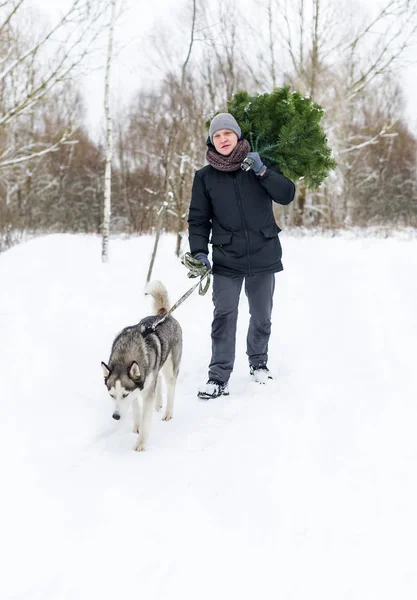 Man Met Hond Aangelijnd Wandelen Het Besneeuwde Bos Winter Met — Stockfoto