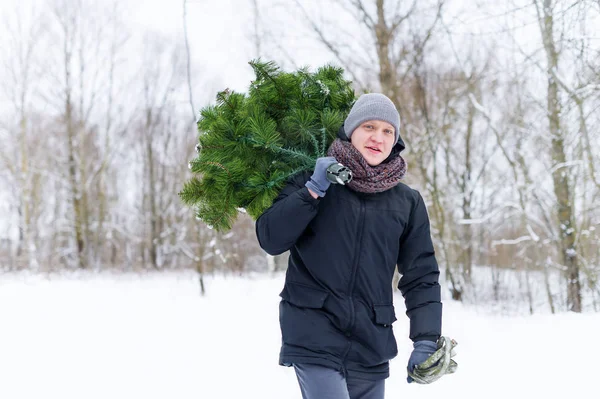 Człowiek Rękach Niesie Boże Narodzenie Drzewo Lesie Zimą Portret Poziomy — Zdjęcie stockowe