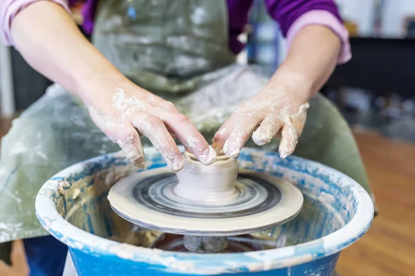 Femme Mûre En Forme De Tablier, Créant Des Céramiques D'argile Dans Un  Atelier De Poterie