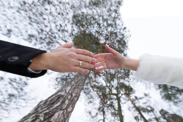 Handen van de bruidegom en de bruid tegen de achtergrond van de toppen van de bomen. — Stockfoto