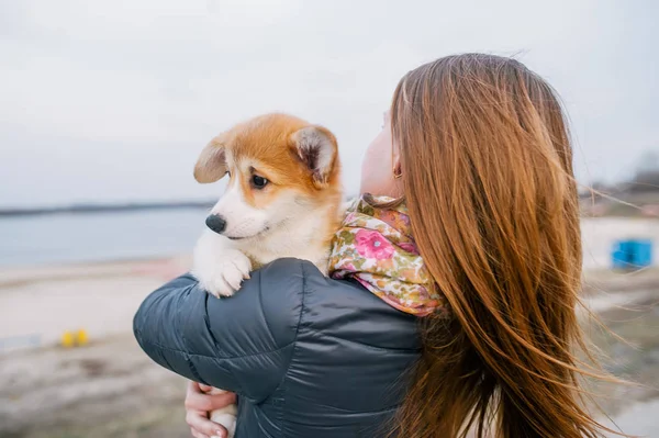 Widok z tyłu kobiety obejmując cute puppy — Zdjęcie stockowe