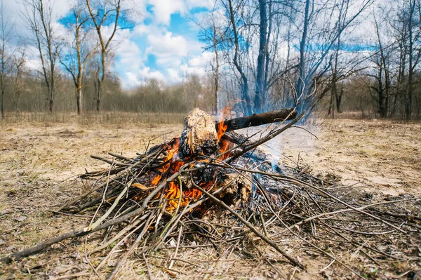 Schönes Lagerfeuer im Frühlingswald. — Stockfoto