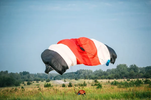 El paracaidista está aterrizando en el campo de hierba —  Fotos de Stock