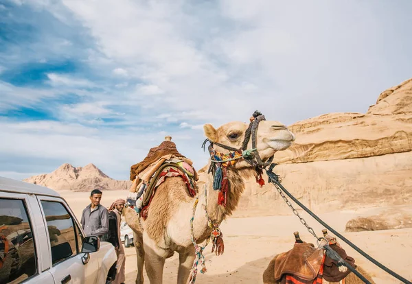 Beduinenmänner mit Kamelen stehen im Hintergrund des Felsens in der Wadi-Rum-Wüste. jordanisch. — Stockfoto