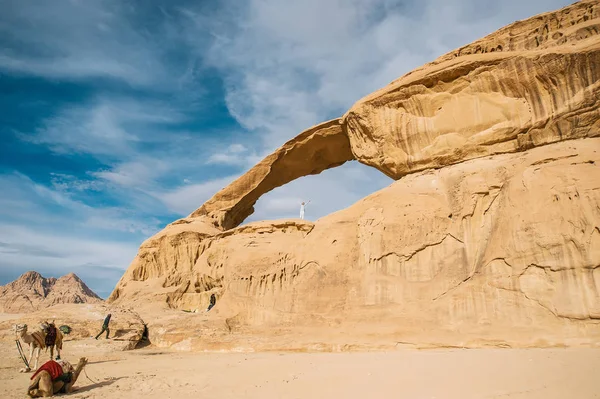 La chica alegre en la roca y el grupo de camellos están en increíble hermoso paisaje en el desierto . — Foto de Stock