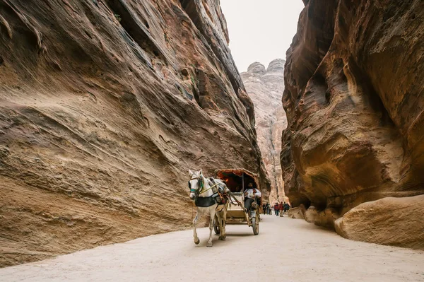 Un carro de caballos acelera a través del Siq. El Siq es la milla de largo cañón que escondió Petra del mundo . — Foto de Stock