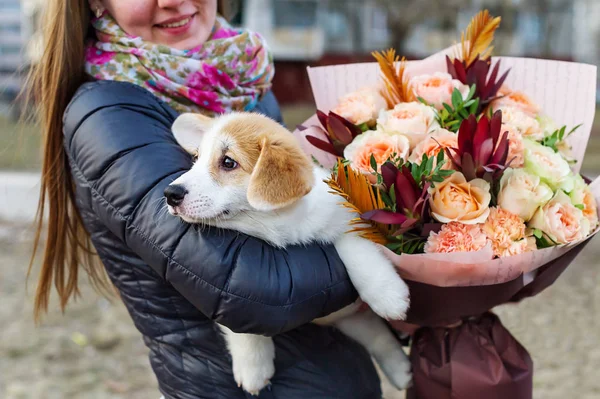 Ramo de flores y perrito. Chica espalda y sosteniendo un pequeño perro . — Foto de Stock