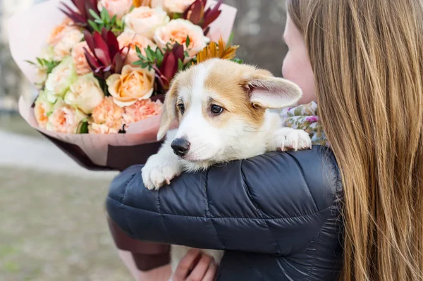 Retrato de cerca de mujer joven con flores y con cachorro corgi en el fondo de la calle de la ciudad . — Foto de Stock