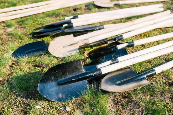 Veel shovels. Shovels liggen op het groene gras. — Stockfoto