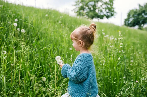 小女孩与蒲公英在绿草背景. — 图库照片