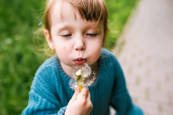 Ragazza caucasica soffia su un fiore di dente di leone in un parco . — Foto Stock