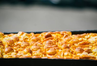 Elmalı turtanın yakın çekimi