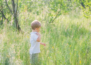 Mutlu küçük çocuk bir yaz gününde çiçekli çayırda yürüyüş.